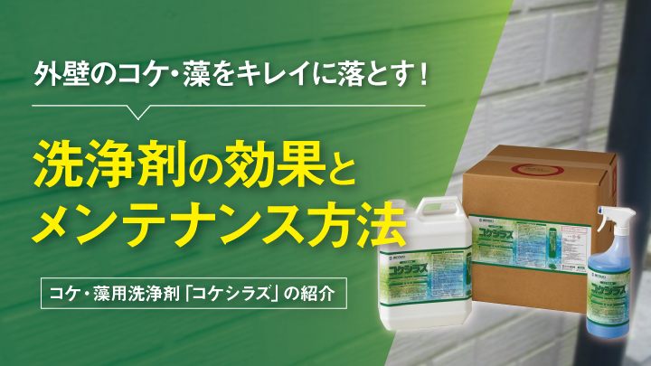 外壁のコケ 藻をキレイに落とす 洗浄剤の効果とメンテナンス方法 Ap Online