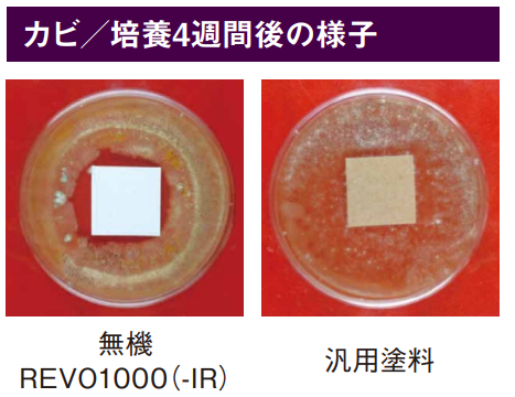 テキスト

AI 生成コンテンツは誤りを含む可能性があります。